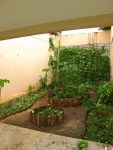 Jardim Agro-Ecológico 2